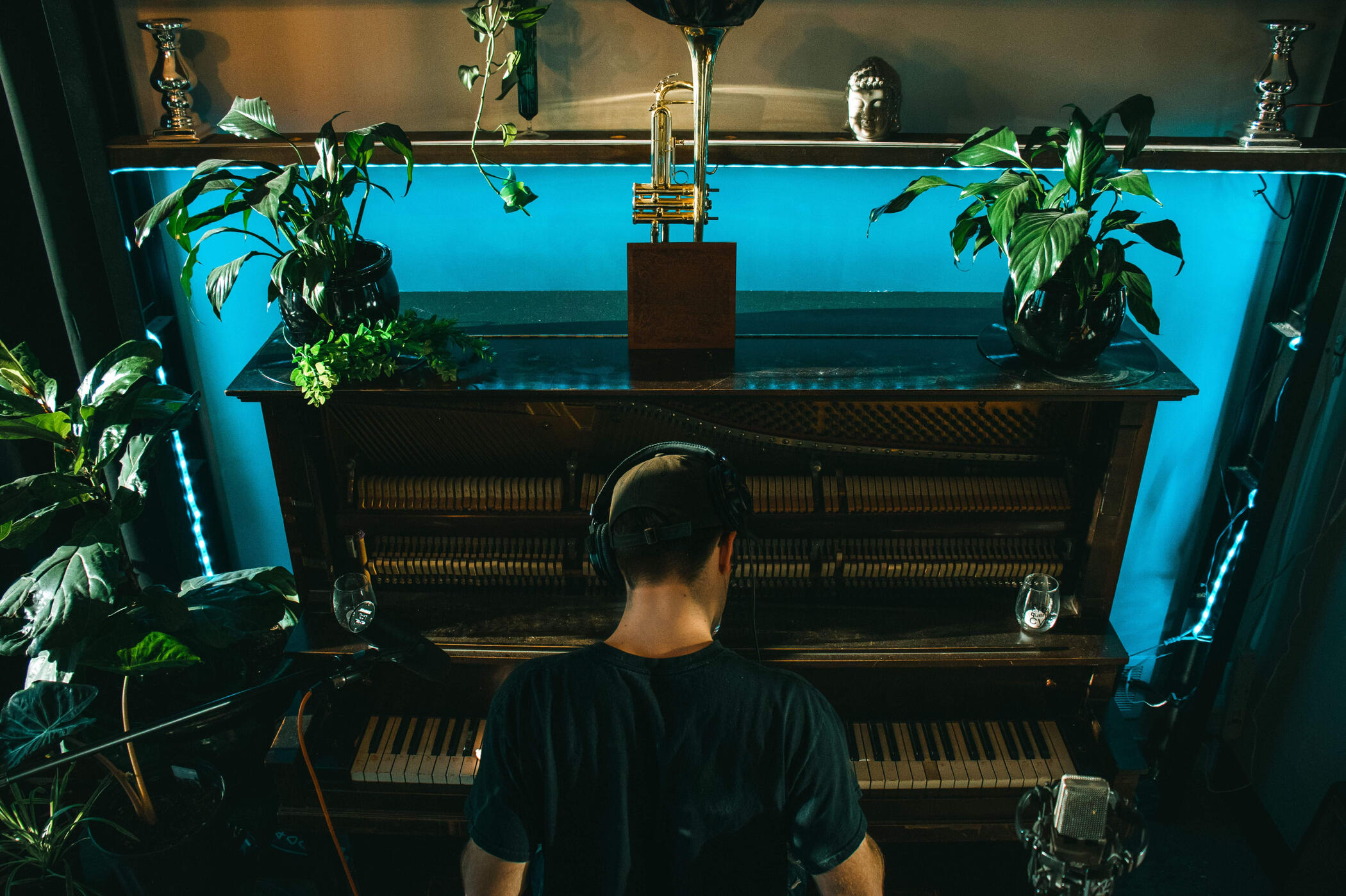 Frequency Sound 528 A man seated at an antique piano, playing music in a room filled with lush green plants and instruments.