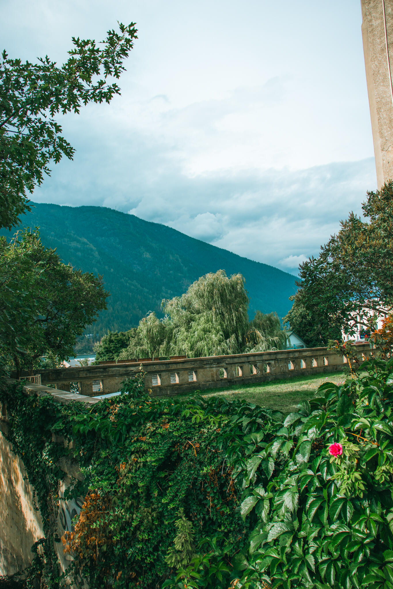 Nelson, British Columbia A rooftop garden features lush foliage in the foreground with a grassy floor and a brick wall surrounding it. In the background is mountains and an overcast sky.
